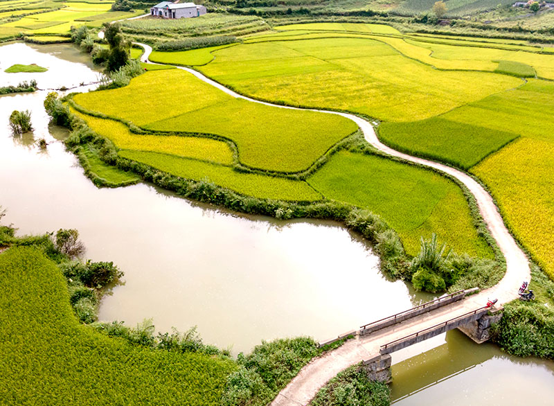水合肼在農(nóng)藥制藥中用于生產(chǎn)除草劑,植物生長(zhǎng)調(diào)和劑和殺菌,殺蟲,殺鼠藥
