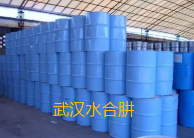 武漢水合肼.png